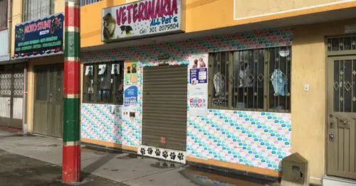 VETERINARIA ALL PET´S VETERINARIA ALL PET´S